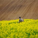 Aktualne pozycjonowanie w świetle zmian mających miejsce w ekosystemie Google i social mediach